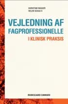 Vejledning af fagprofessionelle af Helen Schultz og Christine Bagger