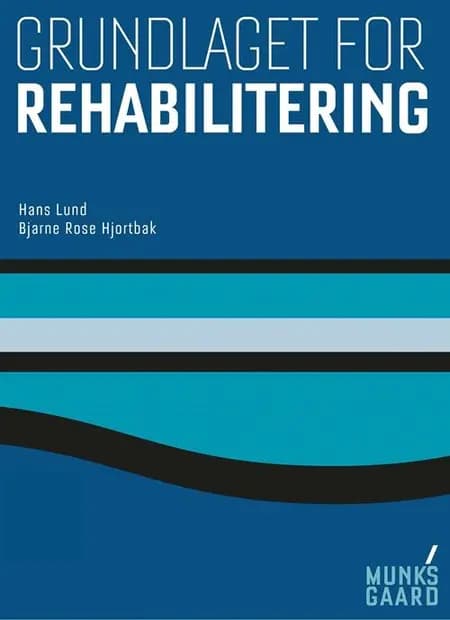 Grundlaget for rehabilitering af Bjarne Rose Hjortbak