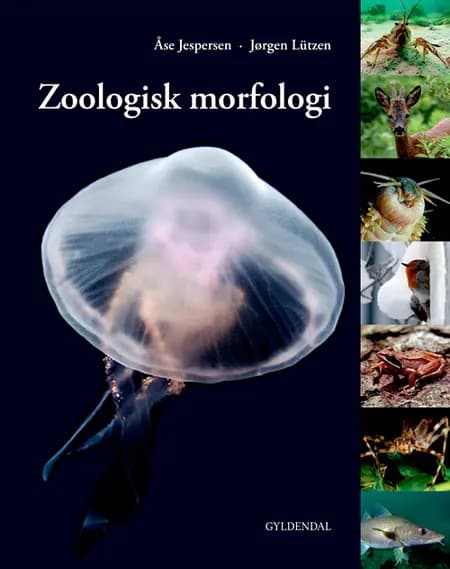 Zoologisk morfologi af Åse Jespersen