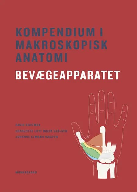 Kompendium i makroskopisk anatomi - bevægeapparatet af David Kocemba