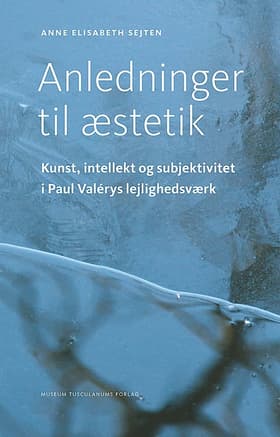 Anledninger til æstetik af Anne Elisabeth Sejten