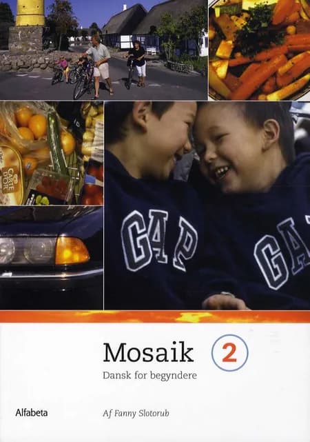 Mosaik 2 af Fanny Slotorub