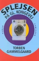 Splejsen på Gl. Kongevej
