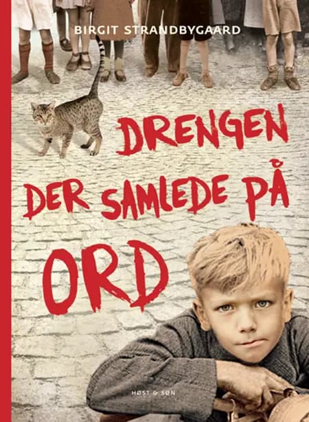 Drengen der samlede på ord af Birgit Strandbygaard