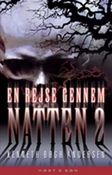 En rejse gennem natten af Kenneth Bøgh Andersen
