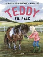 Teddy til salg af Lin Hallberg
