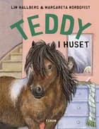 Teddy i huset af Lin Hallberg