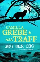 Jeg ser dig