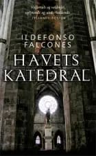 Havets katedral af Ildefonso Falcones