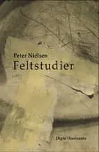 Feltstudier