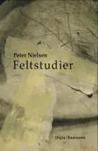 Feltstudier