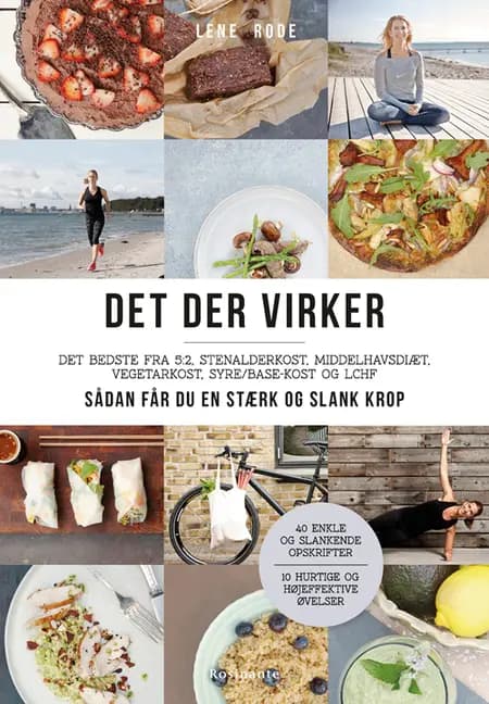 Det der virker af Lene Rode
