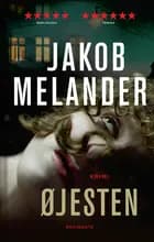 Øjesten