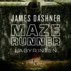 Maze Runner - Labyrinten af James Dashner