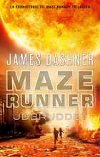 Maze Runner - Udbruddet