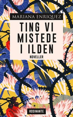 Ting vi mistede i ilden af Mariana Enriquez