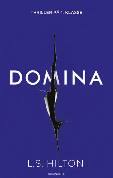 Domina af L. S. Hilton