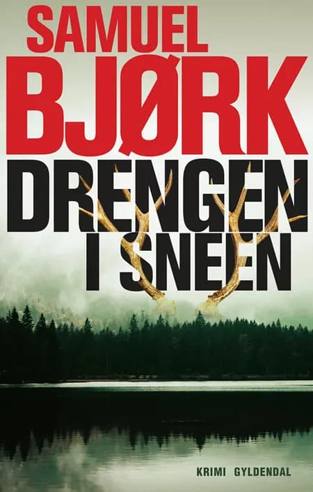 Drengen i sneen af Samuel Bjørk