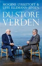 Du store verden af Mette Holm, Uffe Ellemann-Jensen og Mogens Lykketoft