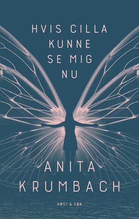 Hvis Cilla kunne se mig nu af Anita Krumbach