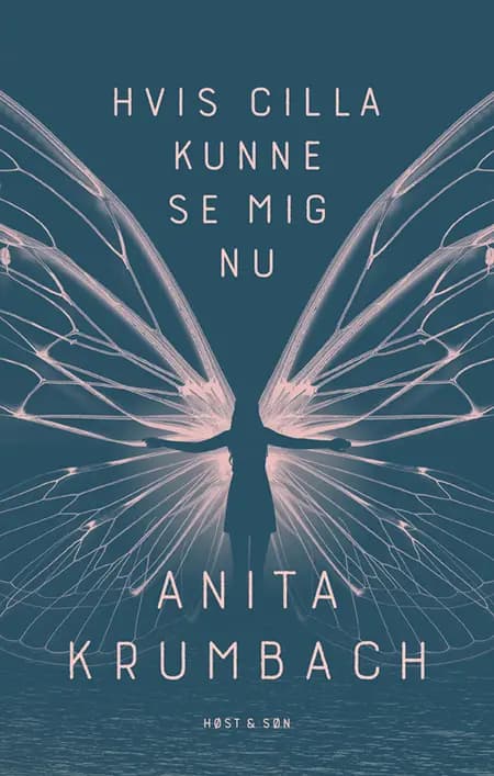 Hvis Cilla kunne se mig nu af Anita Krumbach