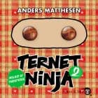 Ternet Ninja 2