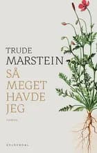 Så meget havde jeg