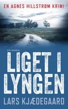Liget i lyngen af Lars Kjædegaard