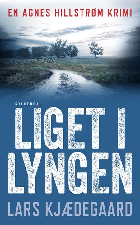 Liget i lyngen af Lars Kjædegaard