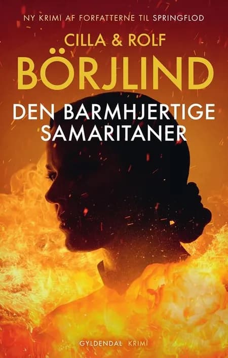 Den barmhjertige samaritaner af Rolf Börjlind