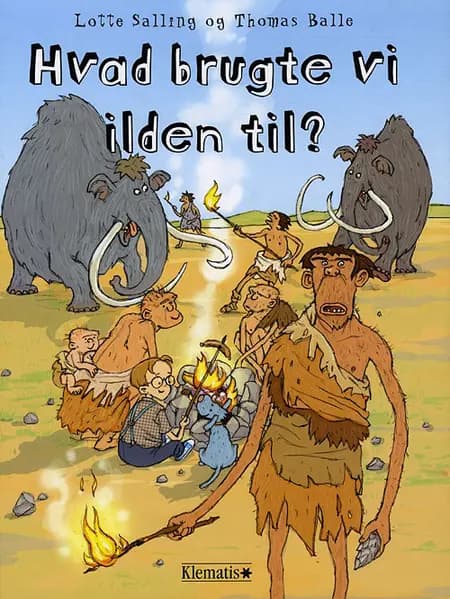 Hvad brugte vi ilden til? af Lotte Salling