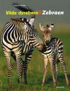 Zebraen