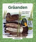Gråanden