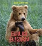 Brun bjørn