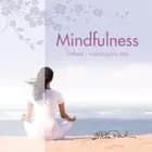 Mindfulness - stilhed i hverdagens støj