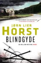 Blindgyde af Jørn Lier Horst
