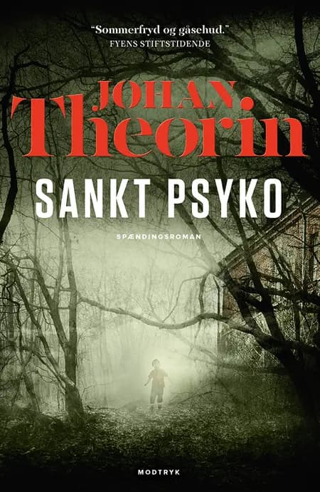 Sankt Psyko af Johan Theorin