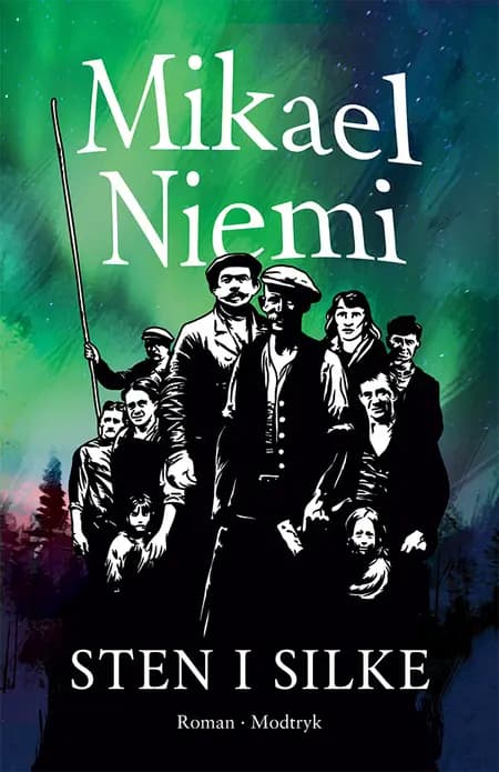 Sten i silke af Mikael Niemi