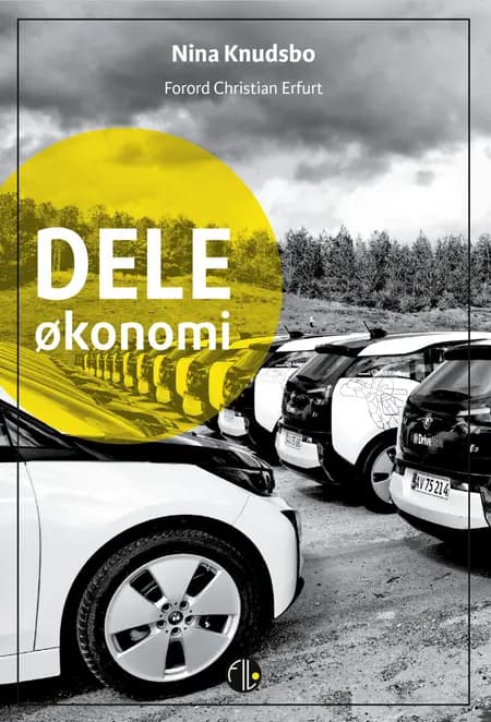 Deleøkonomi af Nina Knudsbo