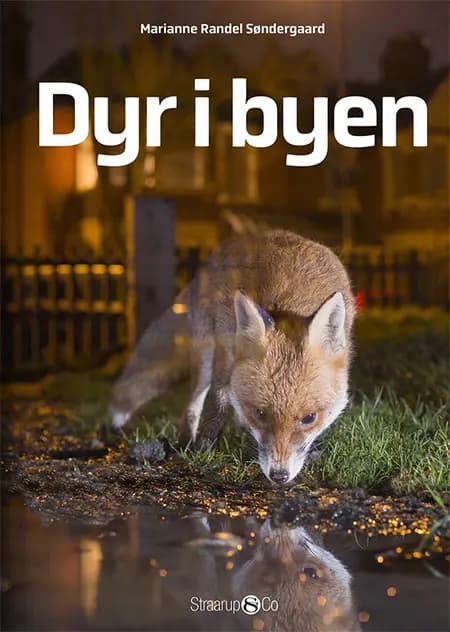 Dyr i byen af Marianne Randel Søndergaard