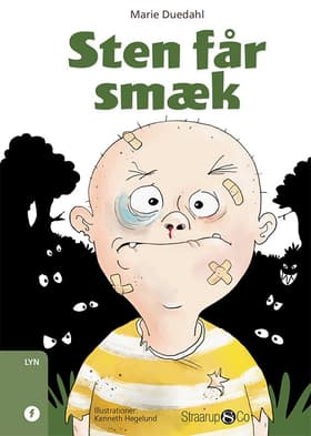 Sten får smæk af Marie Duedahl