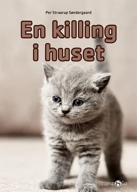 En killing i huset af Per Straarup Søndergaard