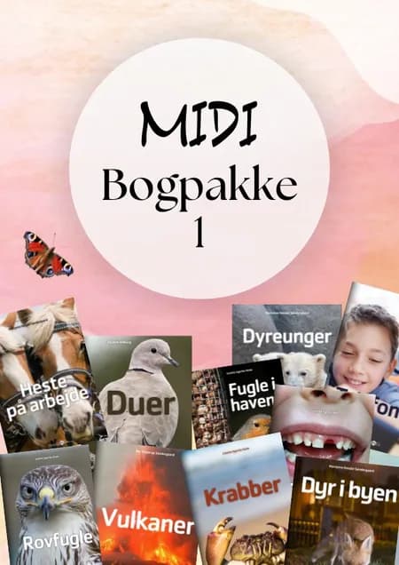 Midi Bogpakke 1 