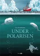 Under polarisen