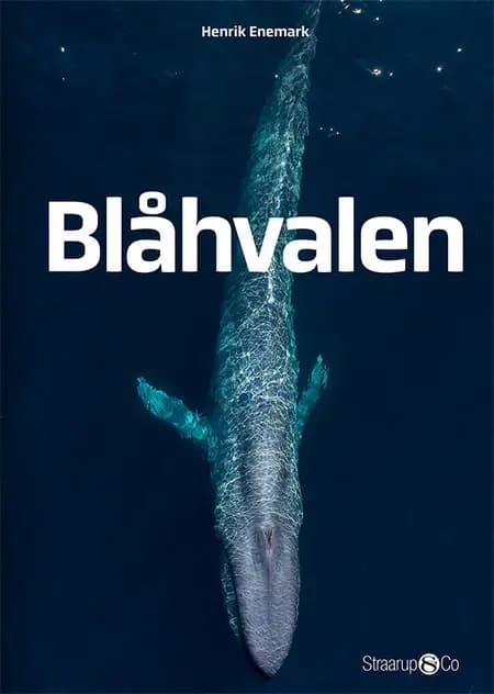 Blåhvalen af Henrik Enemark