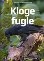 Kloge fugle af Marianne Randel Søndergaard
