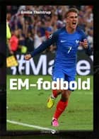 EM-fodbold af Emilie Tholstrup