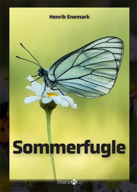 Sommerfugle af Henrik Enemark