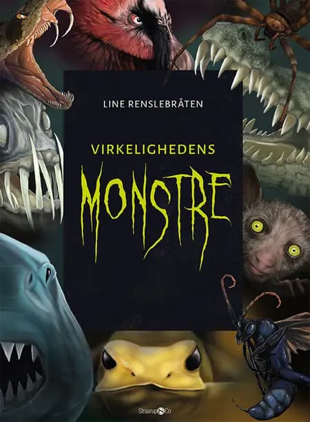 Virkelighedens monstre + monsterkort af Line Renslebråten