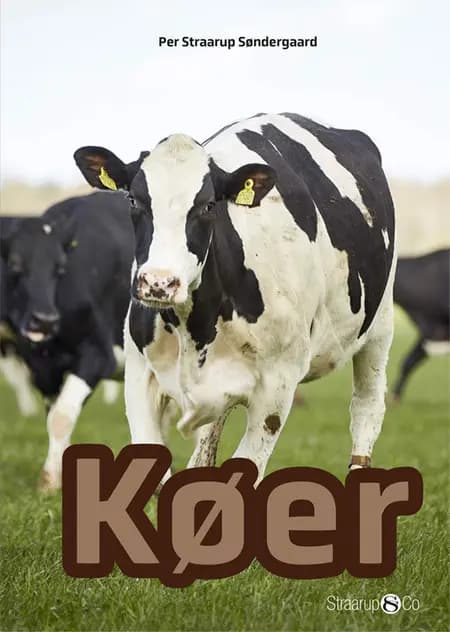 Køer af Per Straarup Søndergaard